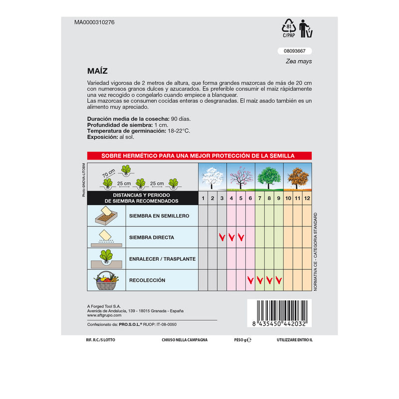 Semillas huerto maiz