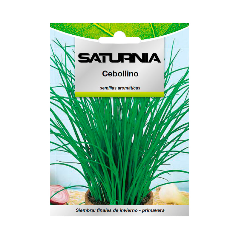 Semillas aromaticas cebollino (1 gramo) horticultura, horticola, semillas huerto