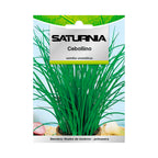 Semillas aromáticas cebollino (1 gramo) horticultura, hortícola, semillas huerto.