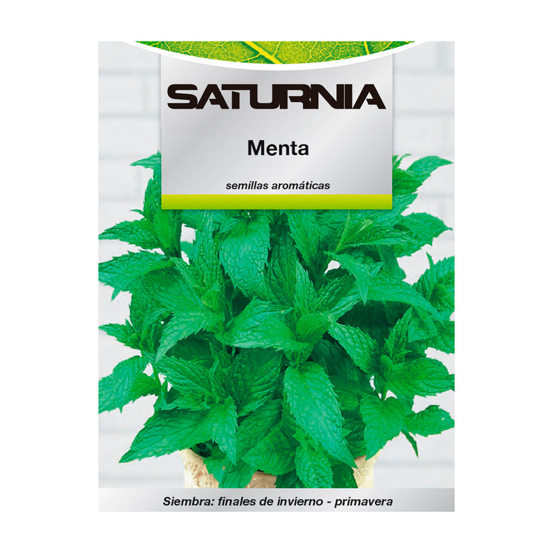 Semillas aromaticas menta (0.3 gramos) horticultura, horticola, semillas huerto