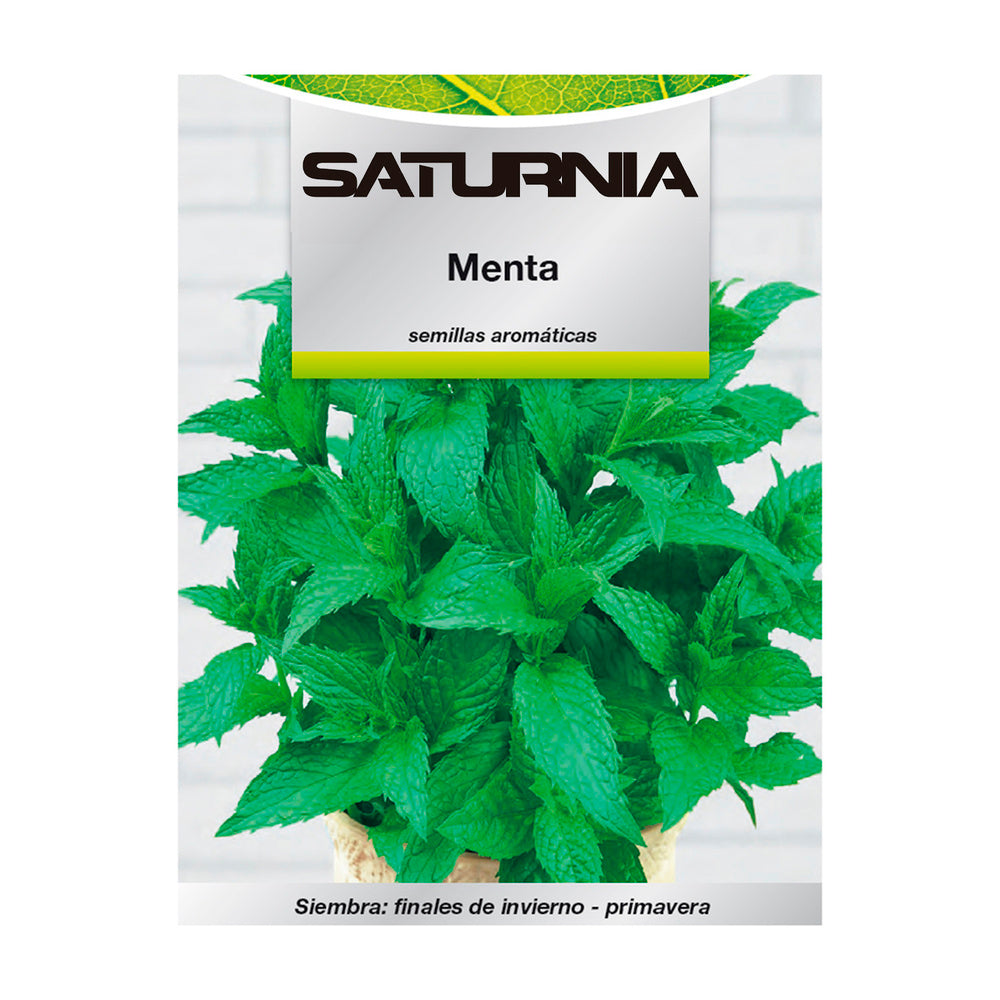 Aromatic mint seeds (0.3 grams) horticulture, horticultural, garden seeds.