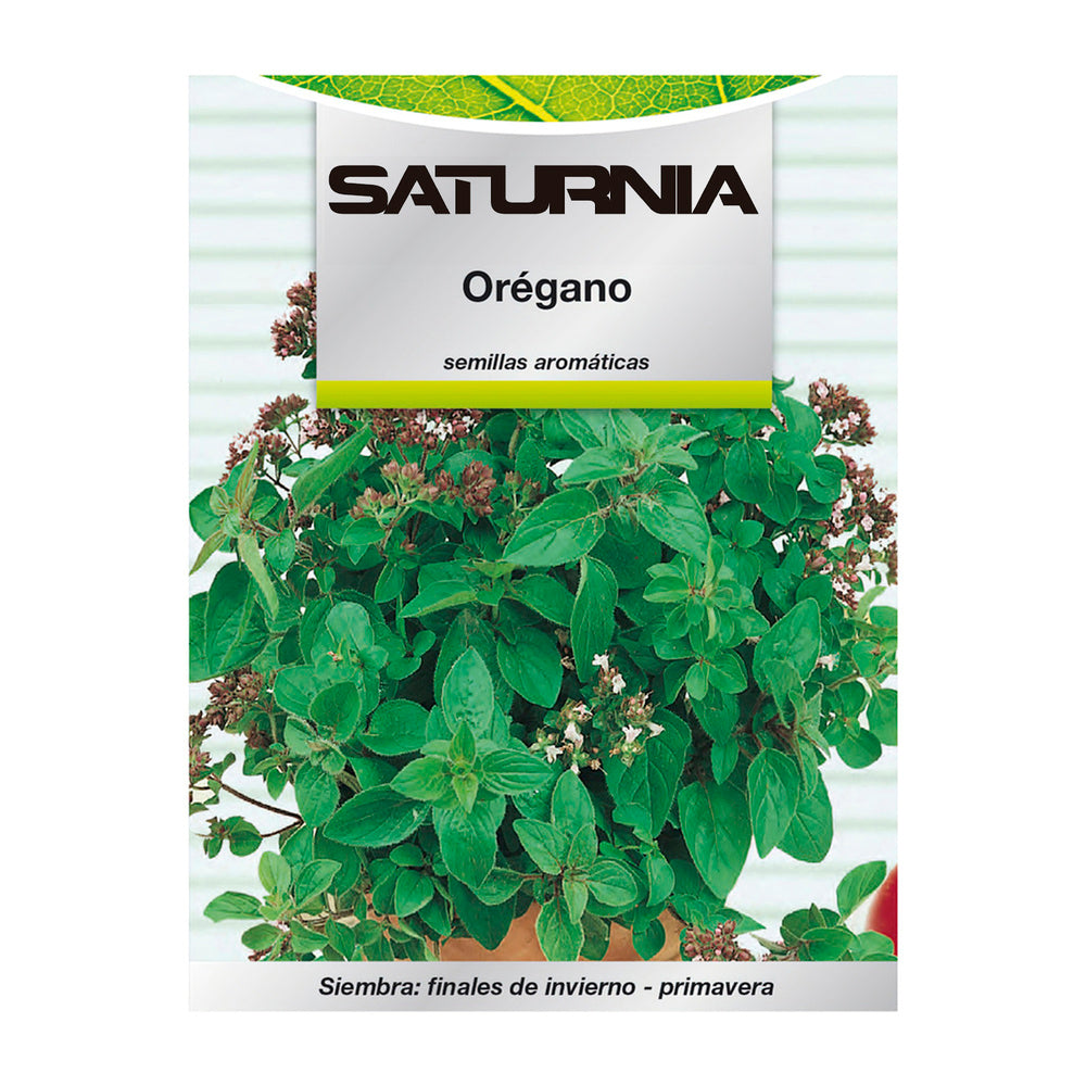 Aromatic oregano seeds (0.3 grams) horticulture, horticultural, garden seeds.
