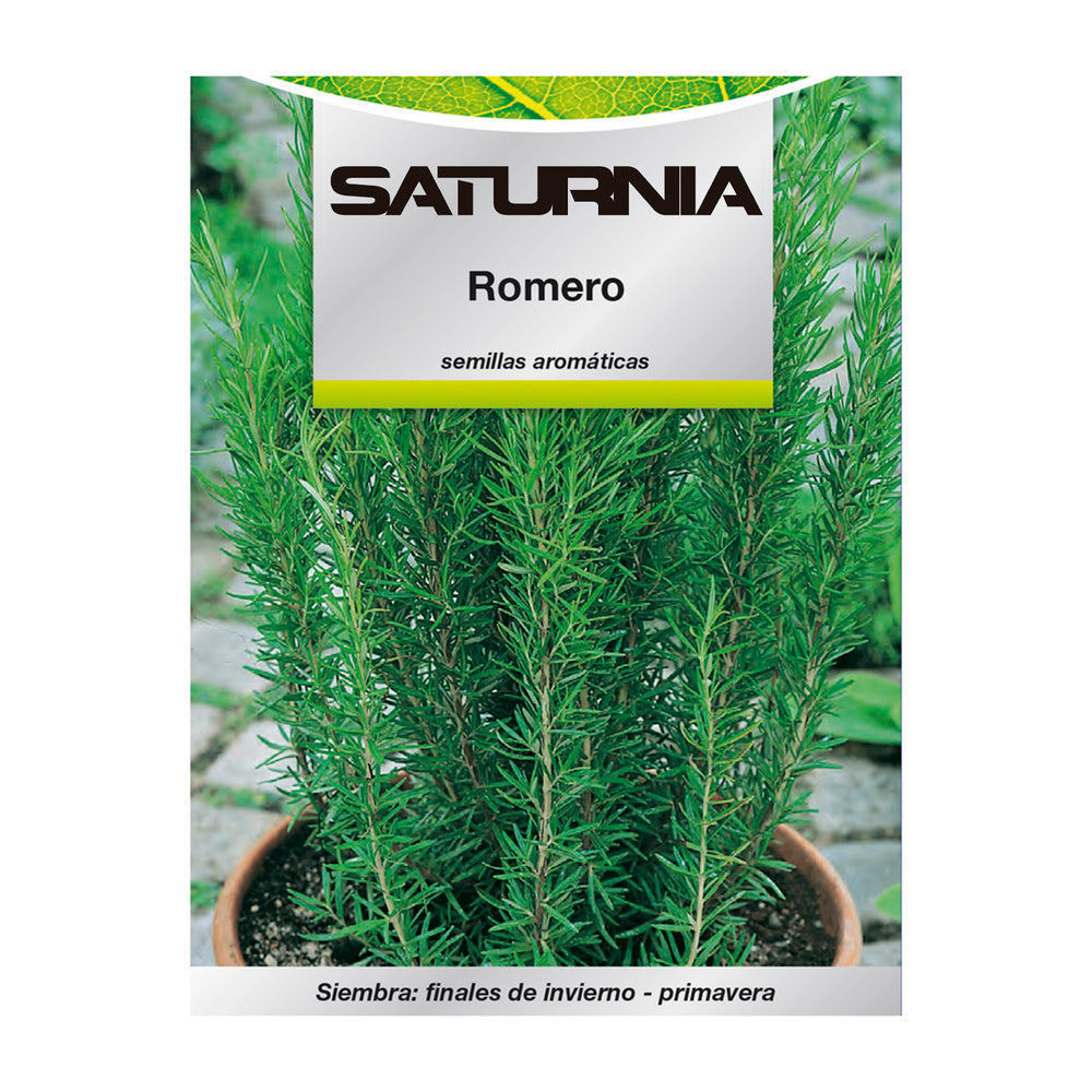 Rosemary aromatic seeds (0.1 grams) horticulture, gardening, vegetable garden seeds.