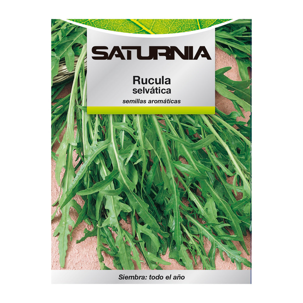 Wild Arugula Aromatic Seeds (2.5 grams) horticulture, gardening, vegetable garden seeds.