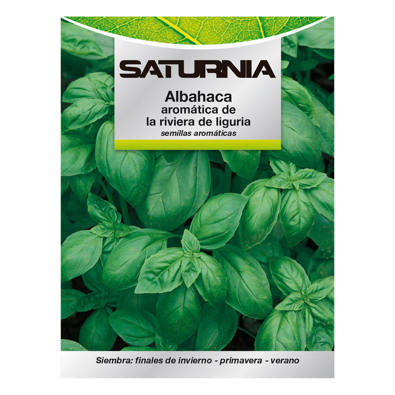 Semillas aromáticas albahaca aromatica (5 gramos) horticultura, horticola, semillas huerto