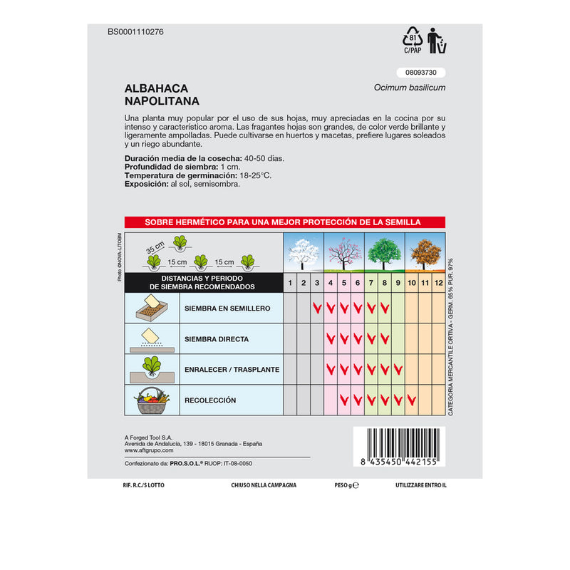 Semillas aromáticas albahaca gigante (5 gramos) horticultura, horticola, semillas huerto