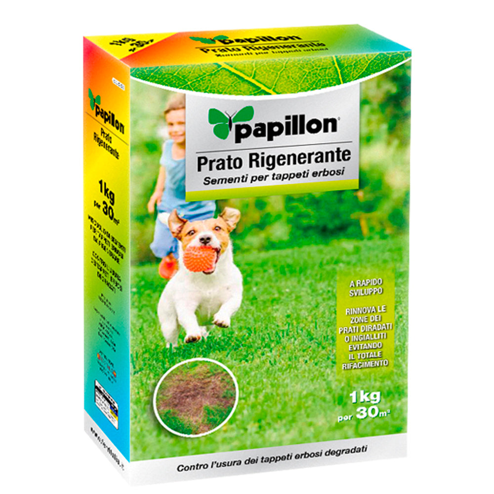 1 kg Overseeding Lawn Seed