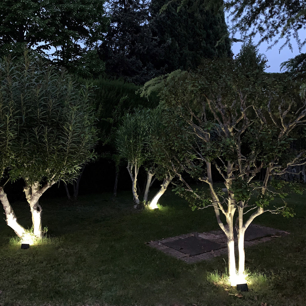 250 lumen LED solar wall light with motion and dusk sensor IP65