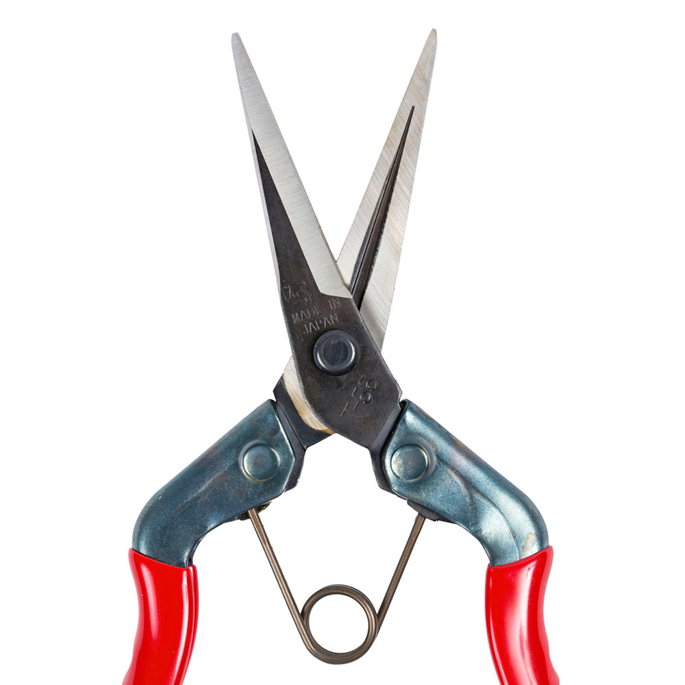 Chikamasa Harvesting Shears T-552 185mm