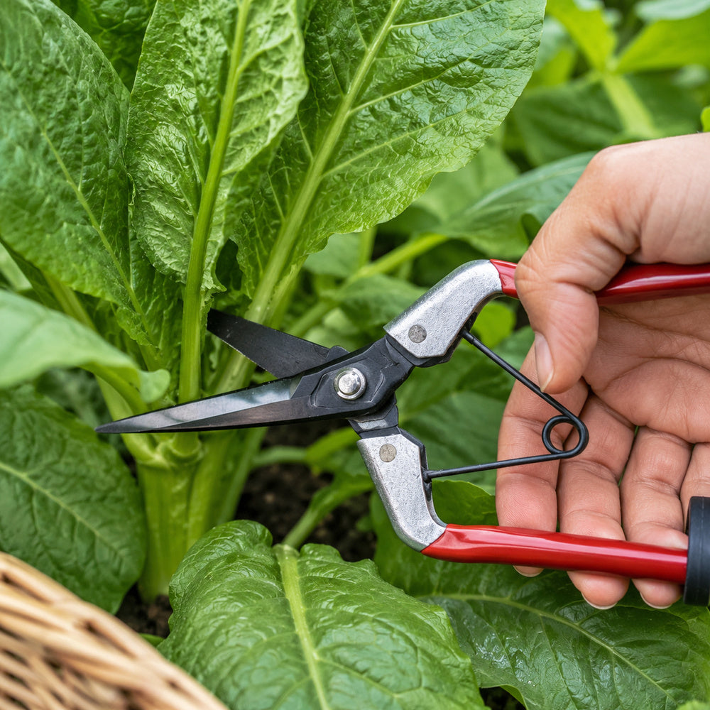 Garlic harvesting scissors 1 hand p-1702 210 mm