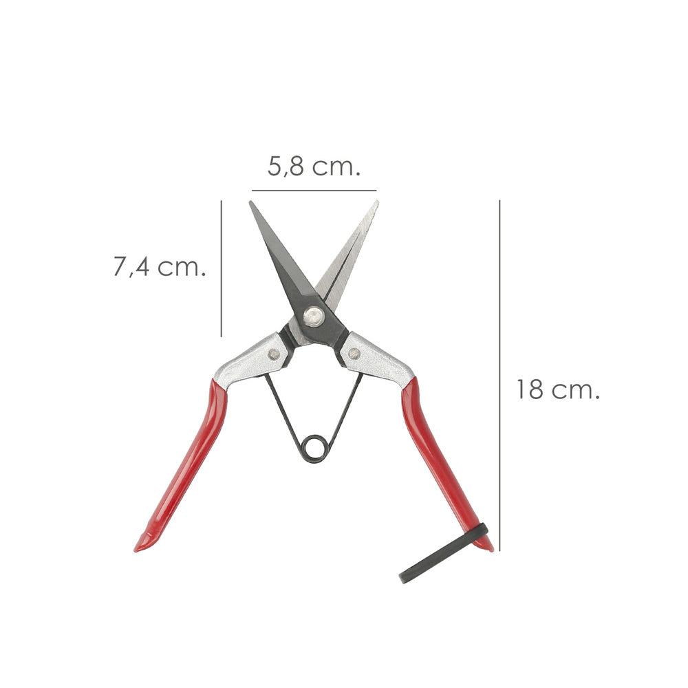 Grape harvesting scissors, 1 hand, p 1552, 180 mm