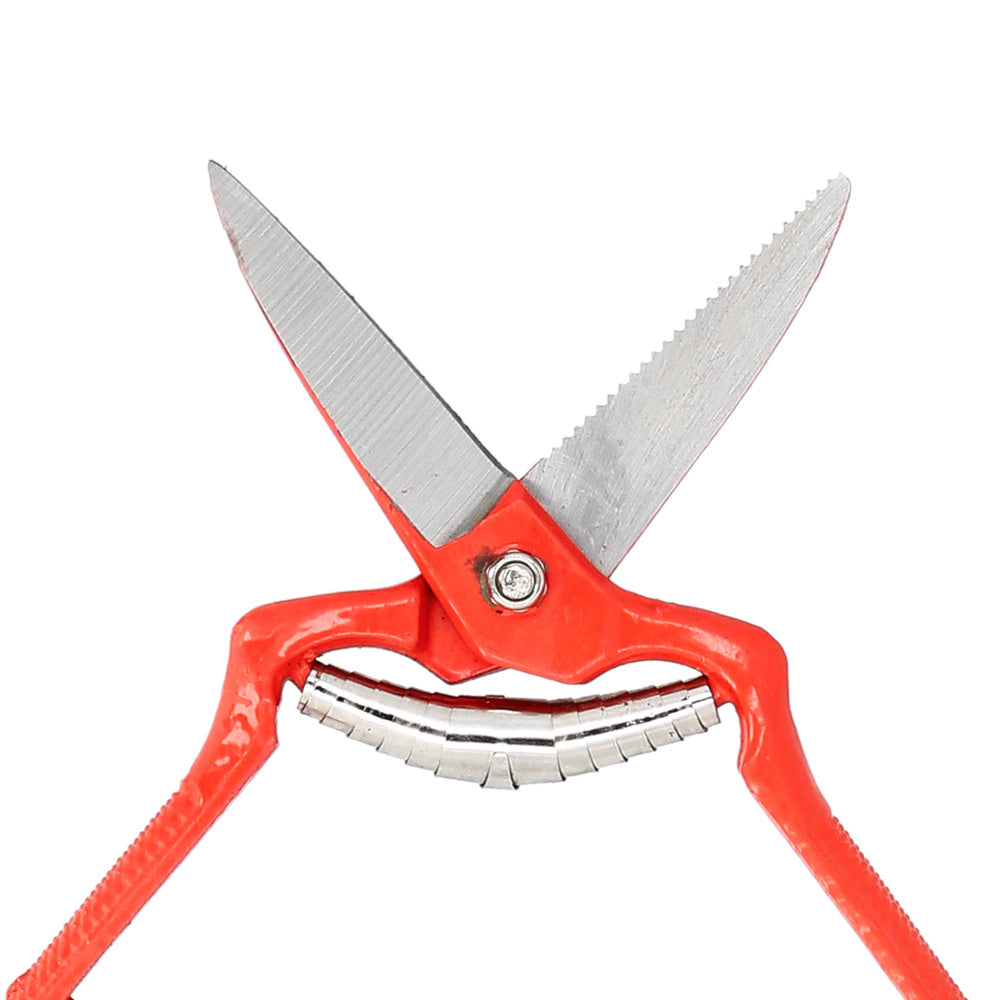 Tesoura de colheita reta forjada, 1 mão, 19 cm