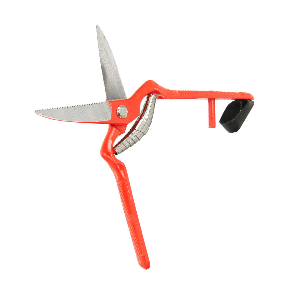 Tesoura de colheita reta forjada, 1 mão, 19 cm