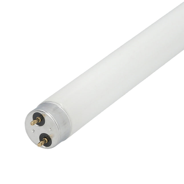 Lámpara recambio para exterminador  20 watt