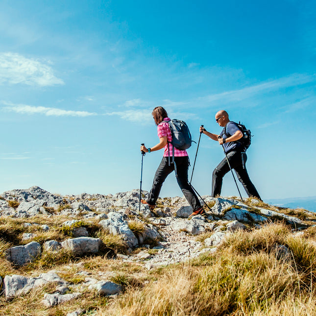 Baston bordon caminar extensible 0,65-1,35 metros negro