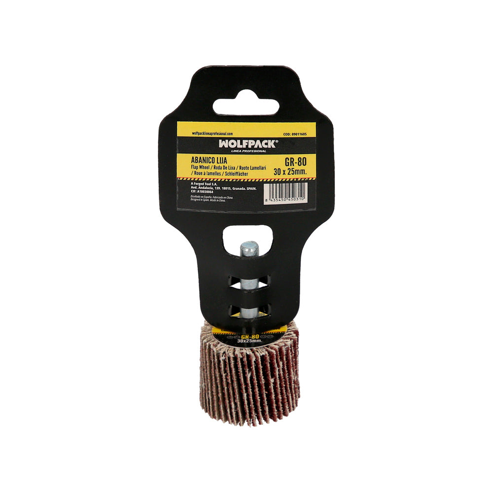 Flap sander grit 80 size ø 30 x 25 mm abrasive disc lamellar, flap wheels, abrasive wheels, sanding, grinding, polishing
