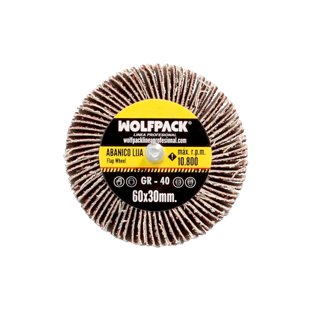 Flap disc sandpaper grit 40 size ø 60 x 30 mm abrasive disc lamellar, flap wheels, abrasive wheels, sanding, grinding, polishing