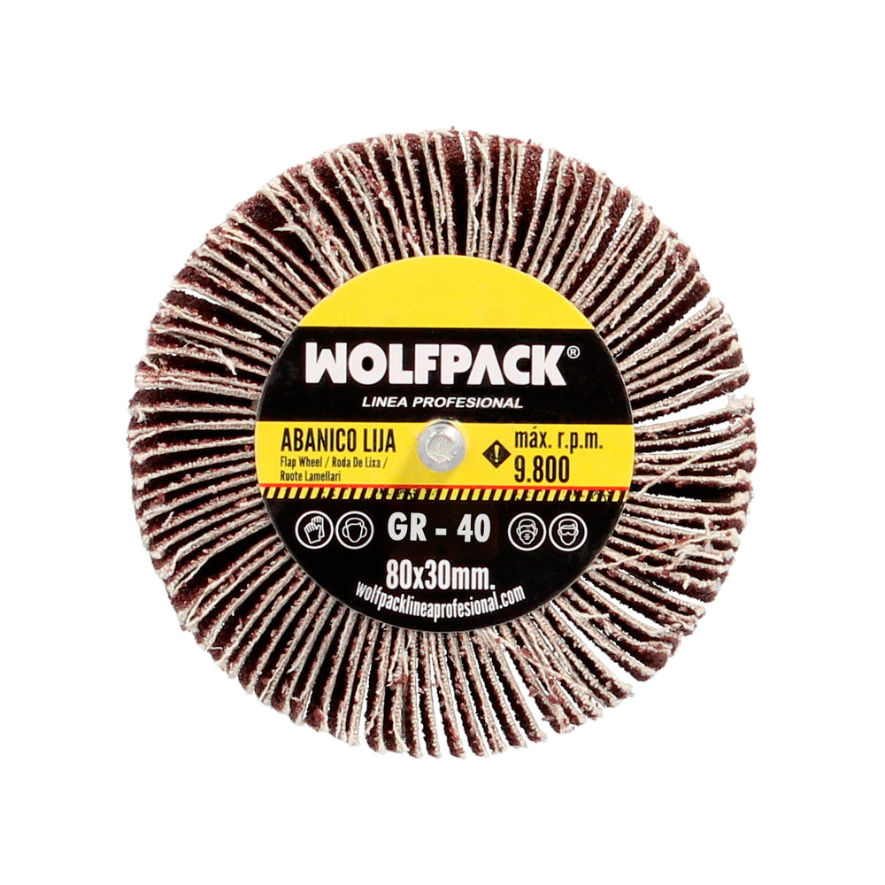 Flap disc sanding disc grain 40 size ø 80 x 30 mm abrasive lamella disc, flap wheels, abrasive wheels, sanding, grinding, polishing