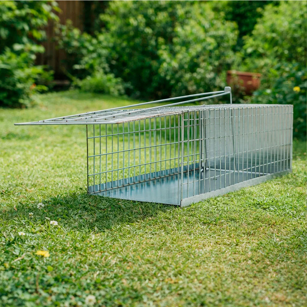 Trampa ratas jaula metal completa 30 x 17 x 11 cm.