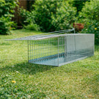 Trampa ratas jaula metal completa 30 x 17 x 11 cm.