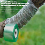 Elastic grafting tape 3 cm x 100 meters.
