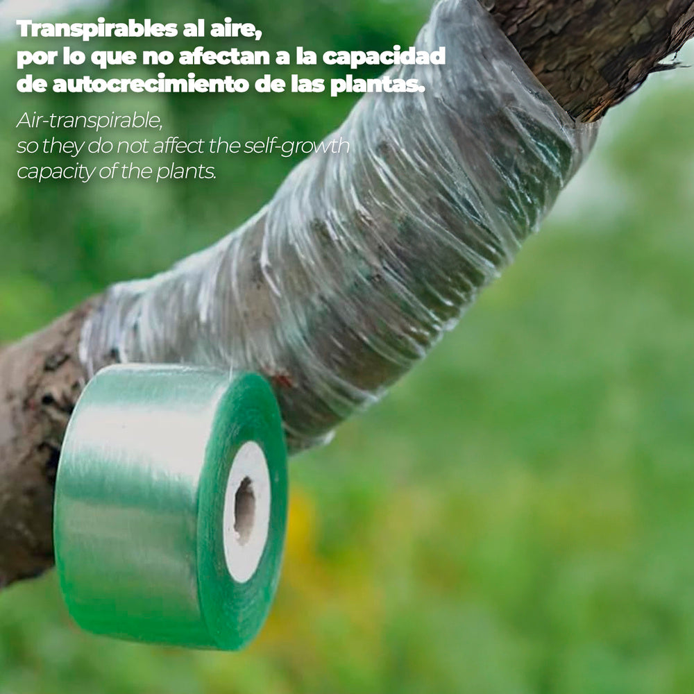Elastic grafting tape 3 cm x 100 meters.
