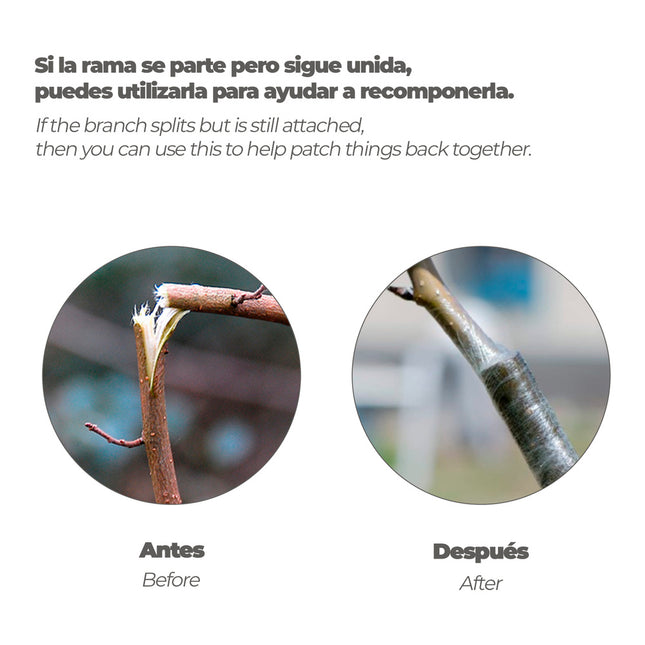 Cinta injertar elastica 3 cm. x 100 metros