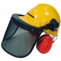 Casco con visera, protector facial de rejilla  y protector auditivo