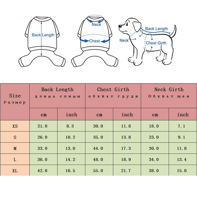 Gilet imperméable pour chien avec tête de mort