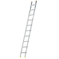Escalera aluminio 1 tramo, 10 peldaños. Antideslizante, resistente.
