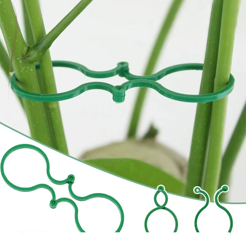 Clips de plástico para sujetar plantas, anillo de hebillaAccesorios de jardineríaHome & Garden > Lawn & Garden > Gardening > Plant Cages & Supports > Plant Supports