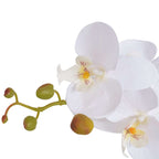 Planta de orquídea artificial con macetero blanca 75 cm