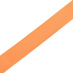 Correas de sujeción de trinquete 10 uds 0,4 T 6mx25mm naranja