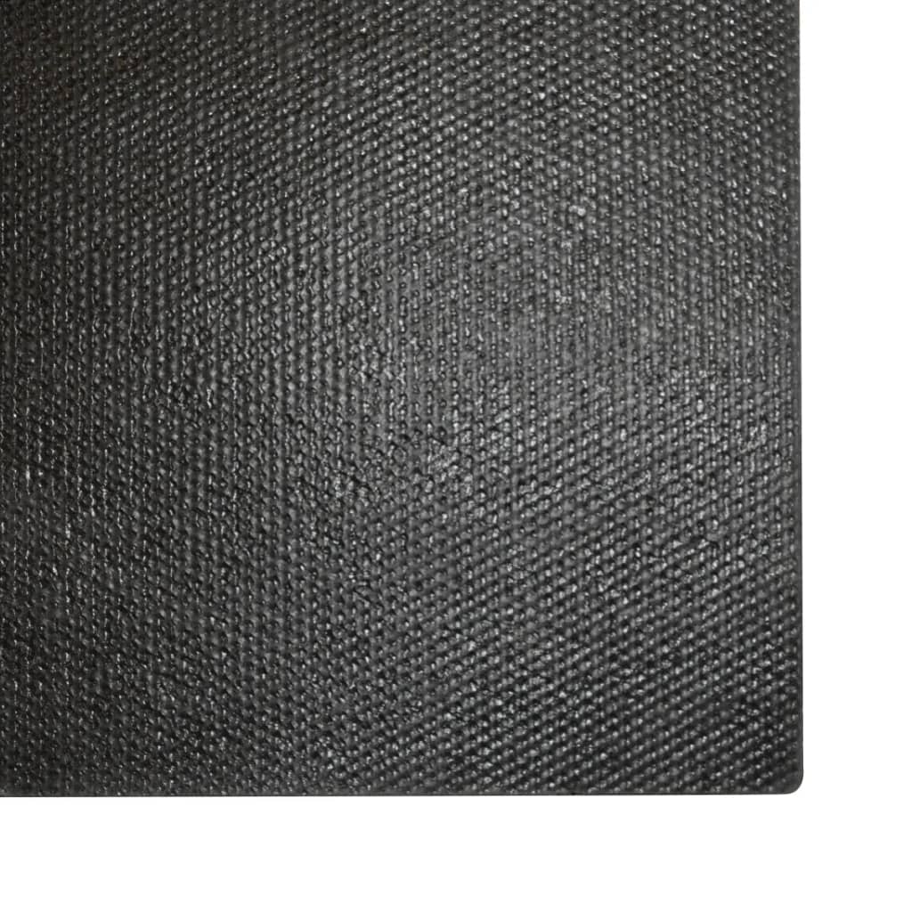 Felpudo de fibra de coco color natural 2 unidades 24mm 40x60cm