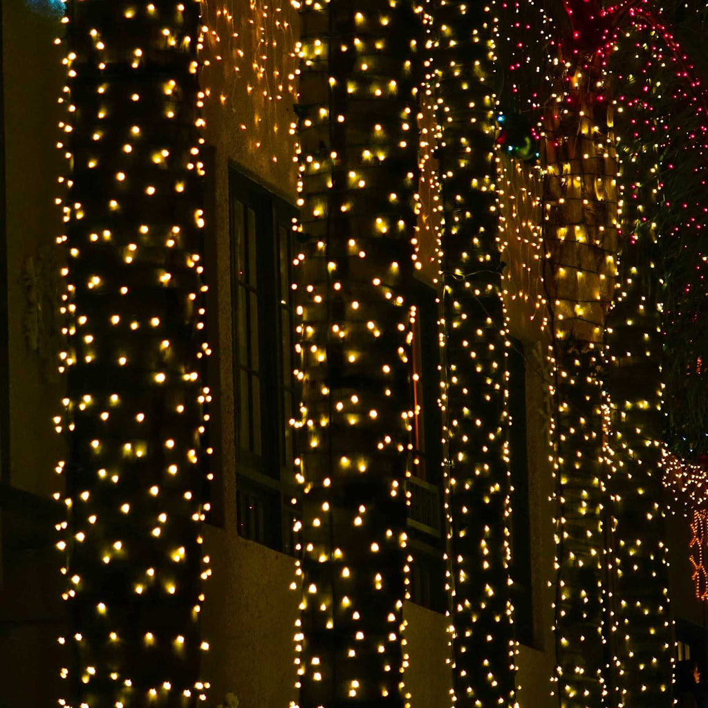 Red Led Verde oscuro