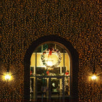 Red Led Verde oscuro