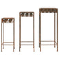 3-piece vintage rusted metal plant stand set