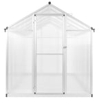 Invernadero de aluminio 302x190x195 cm 11,19 m³