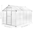 Invernadero de aluminio 302x190x195 cm 11,19 m³