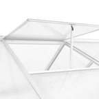 Invernadero de aluminio 302x190x195 cm 11,19 m³