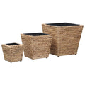 Conjunto de arriates 3 piezas jacinto de agua