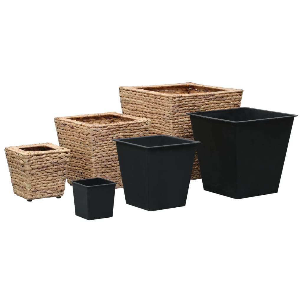 Conjunto de arriates 3 piezas jacinto de agua