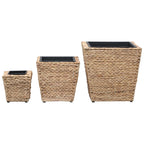 Conjunto de arriates 3 piezas jacinto de agua
