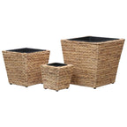Conjunto de arriates 3 piezas jacinto de agua