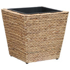Conjunto de arriates 3 piezas jacinto de agua
