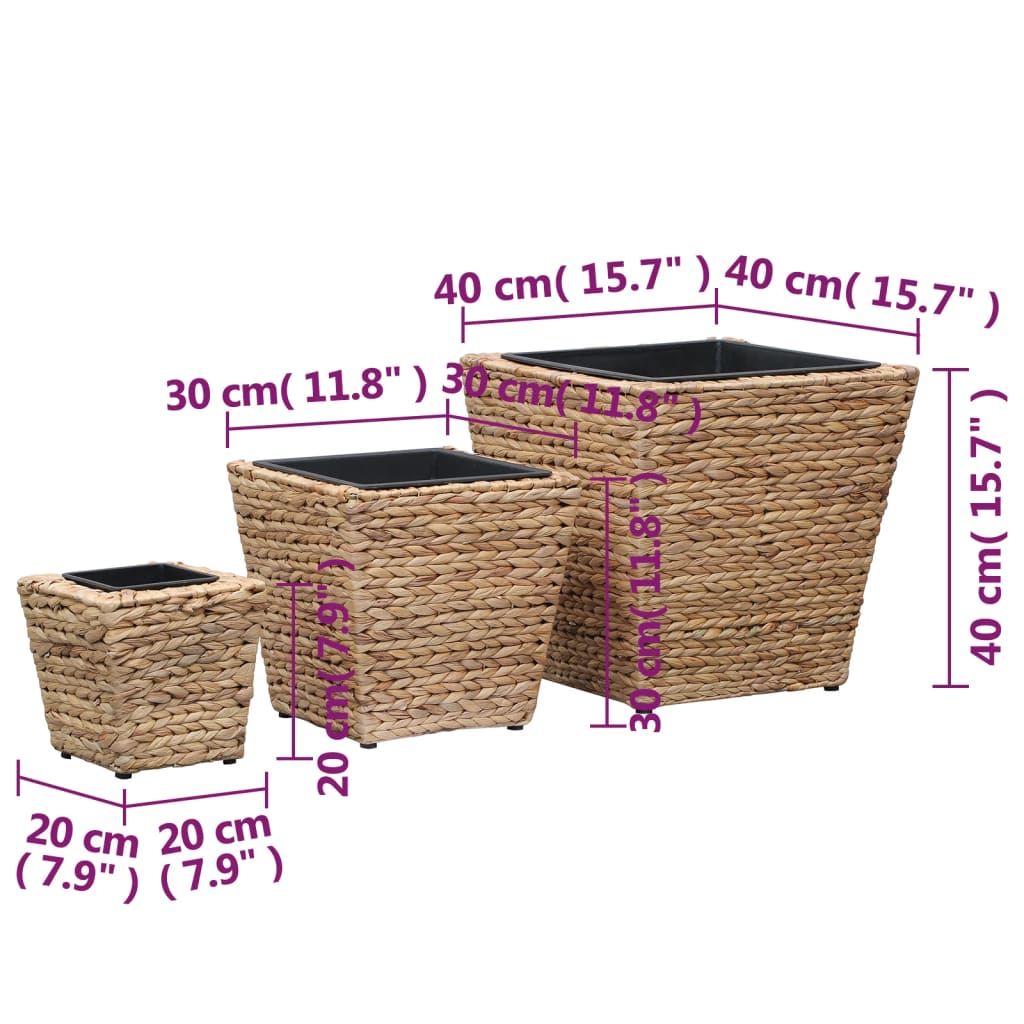 Conjunto de arriates 3 piezas jacinto de agua