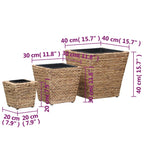 Conjunto de arriates 3 piezas jacinto de agua