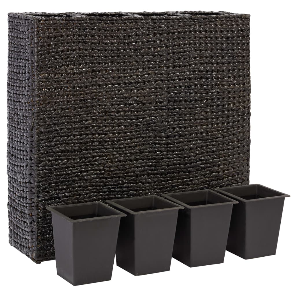 Arriate con 4 macetas jacinto de agua negro