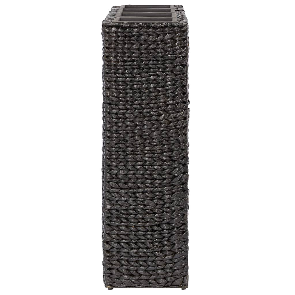 Arriate con 4 macetas jacinto de agua negro