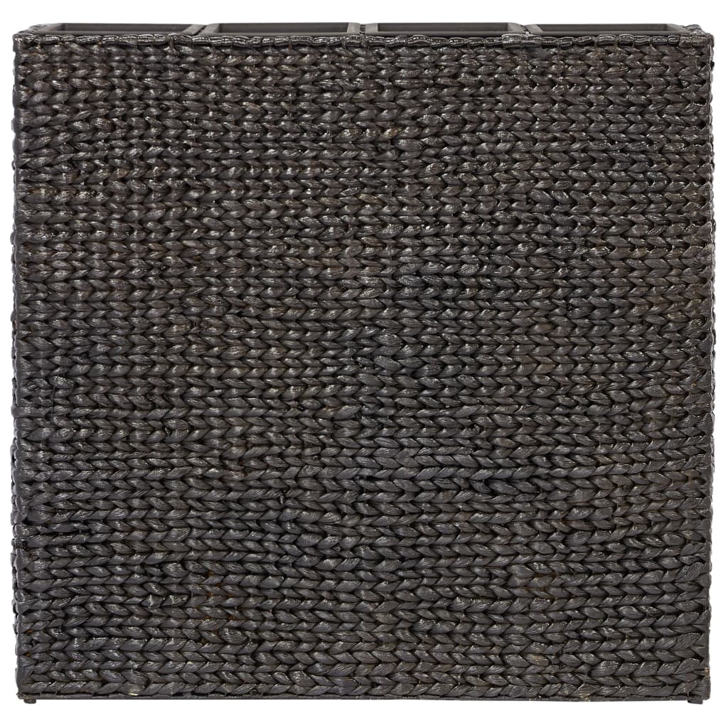 Arriate con 4 macetas jacinto de agua negro